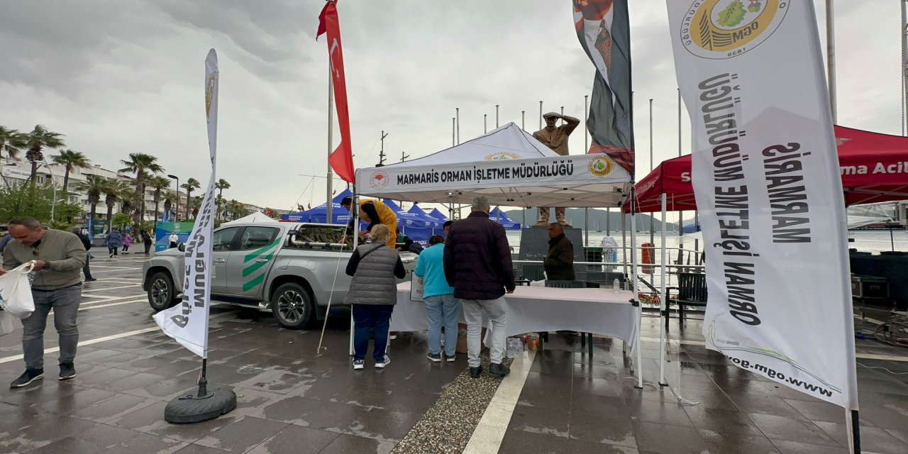 Marmaris Orman İşletme müdürlüğü ekipleri yüzelerce fidan dağıttı