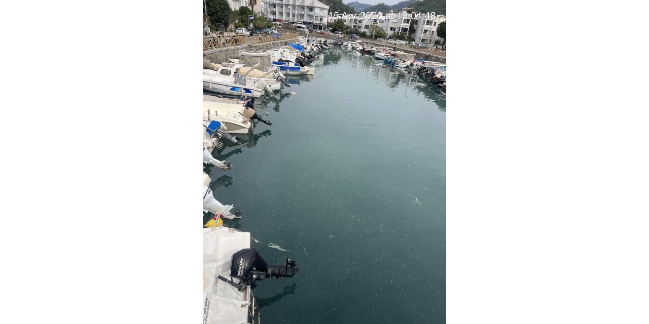 Marmaris denizi alarm veriyor!