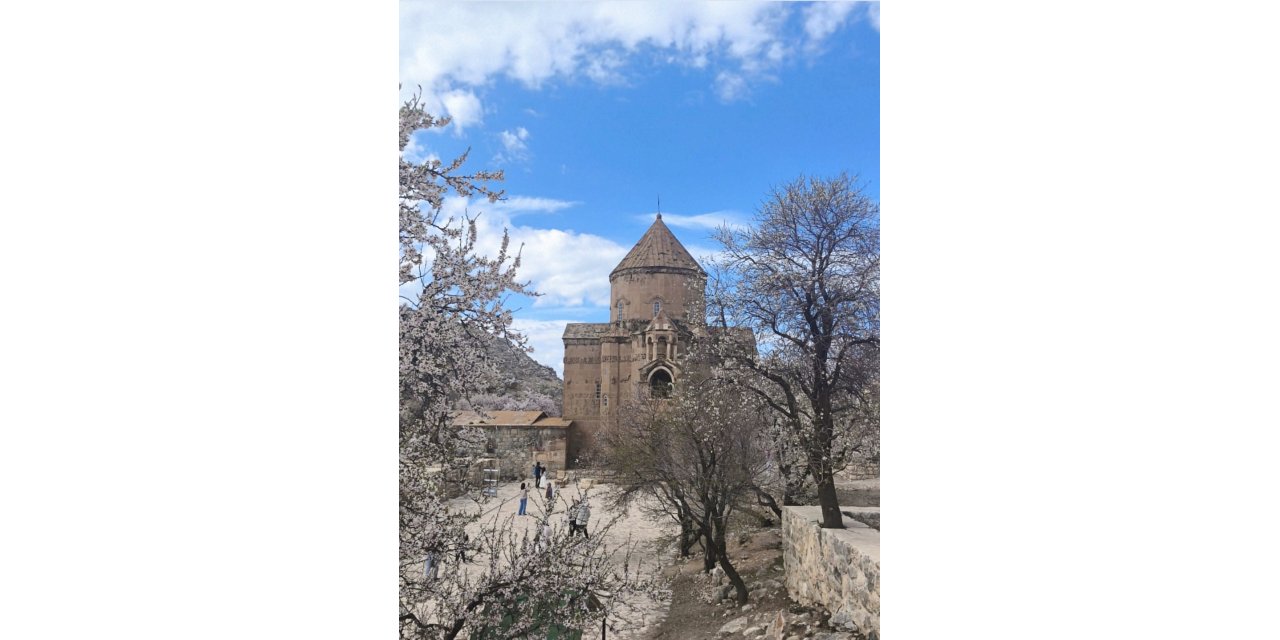 Van Gölü’nün İncisi Akdamar, Baharla Birlikte Çiçek Açtı