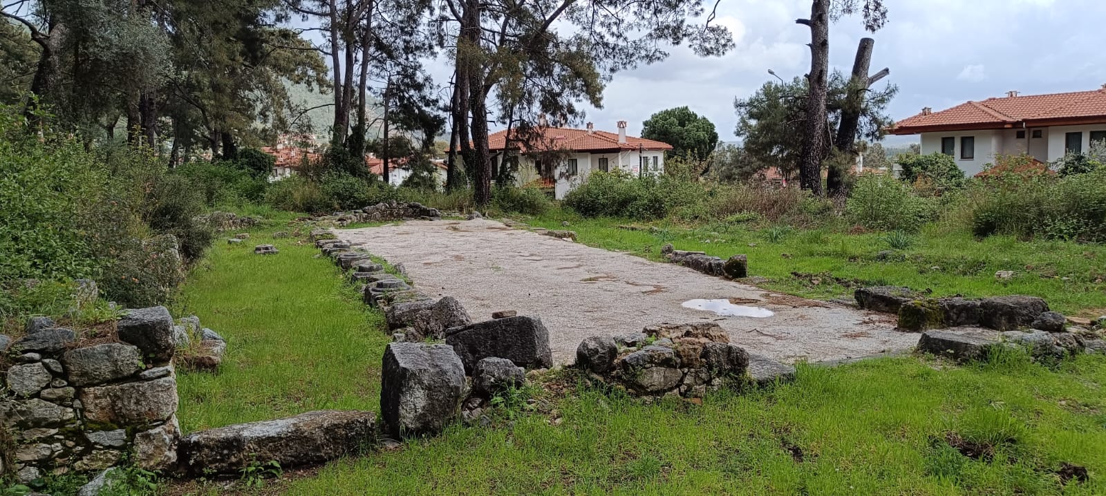 Akyaka’da Orman İçinde Gizlenen Bizans Kilisesi İlgi Bekliyor