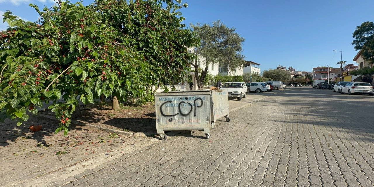 Çöp sorunu büyüyor, vatandaş kendi çözüm üretiyor