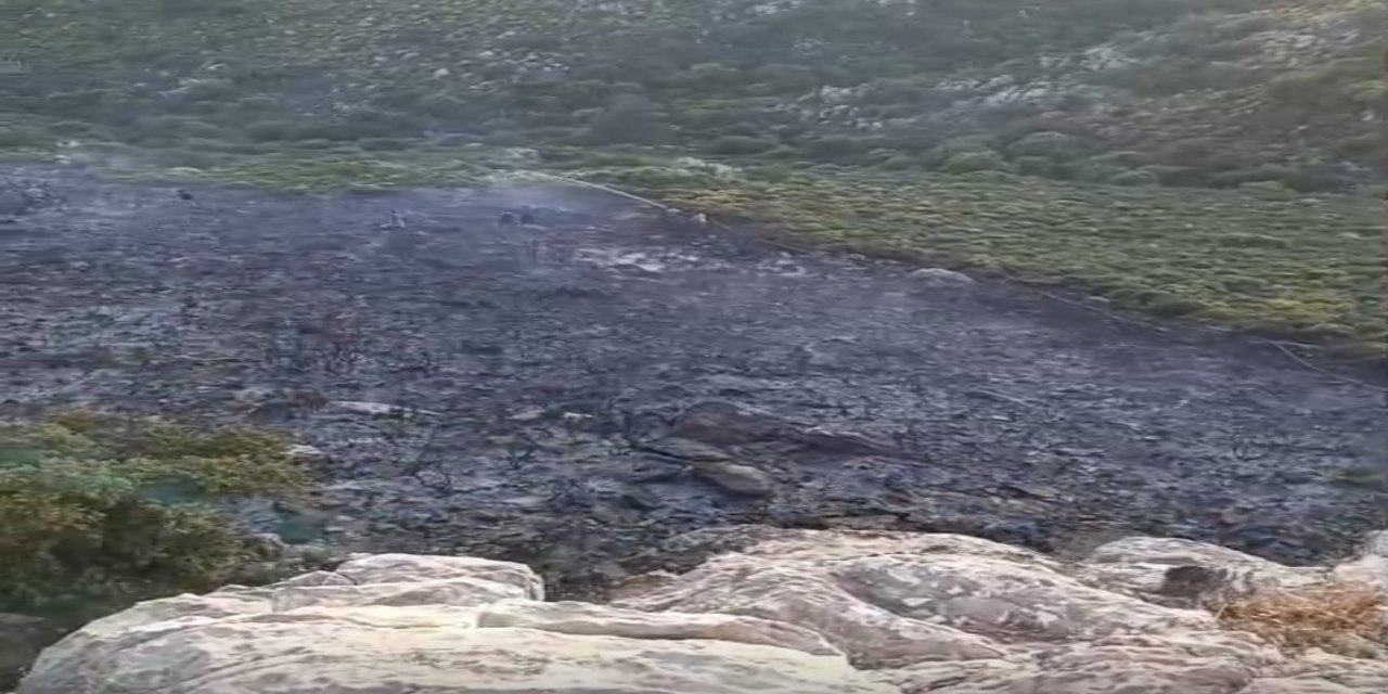 Bozburun’da makilik alanda çıkan yangın kontrol altında
