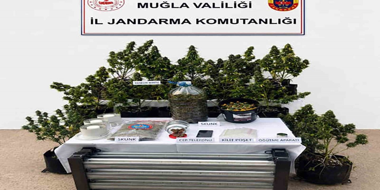 Jandarmadan uyuşturucuya geçit yok