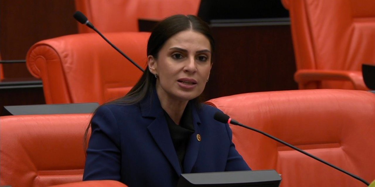 Milletvekili  Özcan’dan orman sınırı tepkisi