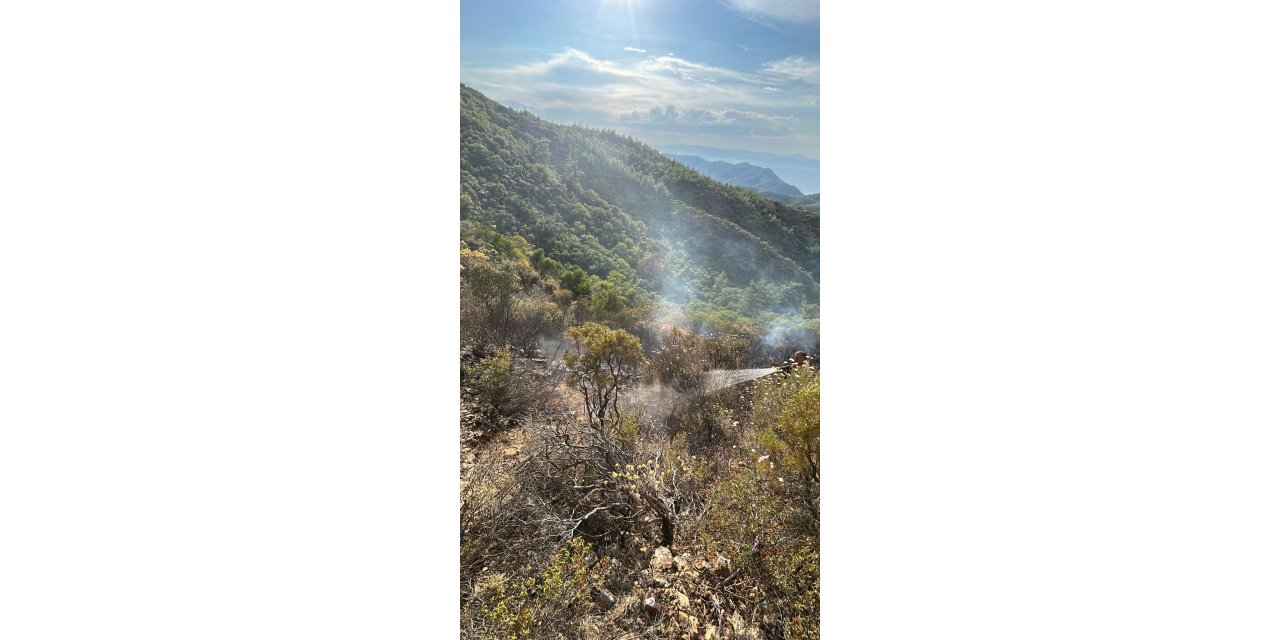 Marmaris’te yıldırım kaynaklı çıkan orman yangını söndürüldü