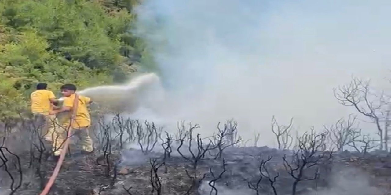 Muğla’da yıldırım kaynaklı 2 orman yangını
