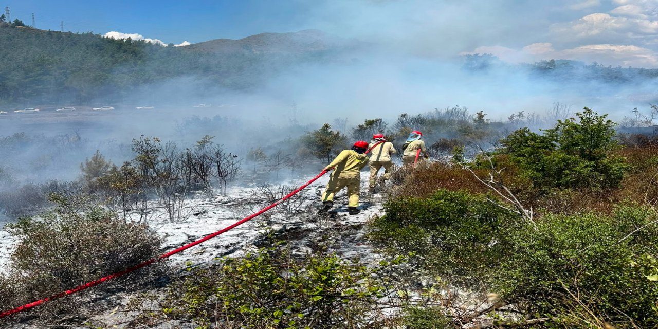 Marmaris’te yol kenarında çıkan yangın yürekleri ağza getirdi