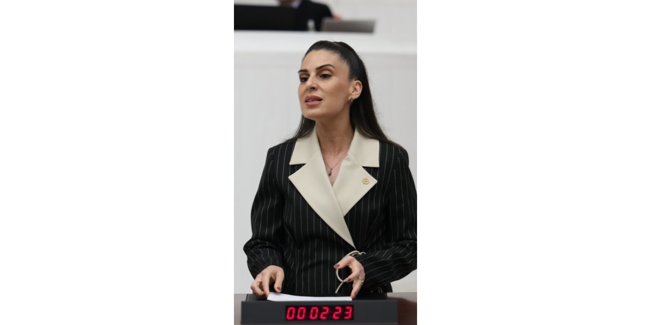 Muğla Milletvekili Gizem Özcan orman yangınlarına karşı uyardı