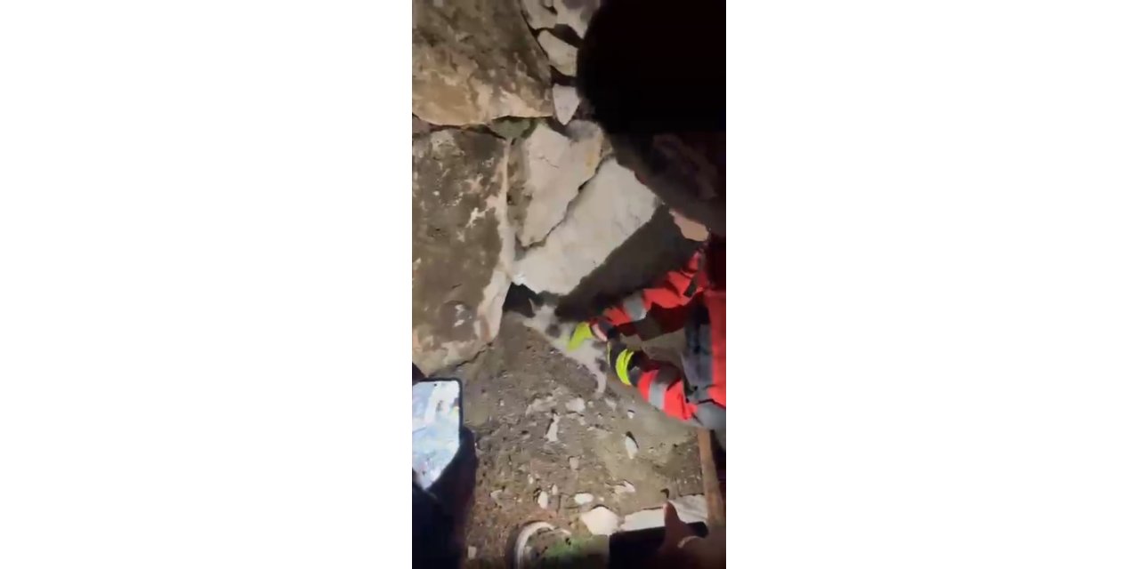 Duvara sıkışan kediyi itfaiye kurtardı