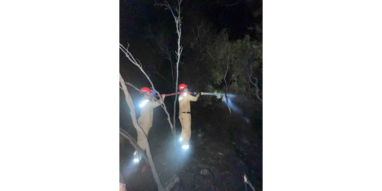 Ormanlık alandaki yangın büyümeden söndürüldü