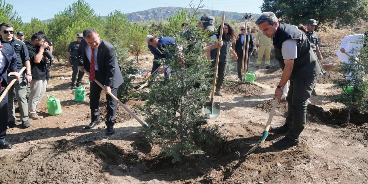 15 Temmuz Demokrasi Şehitleri Hatıra Ormanı’na fidan dikildi