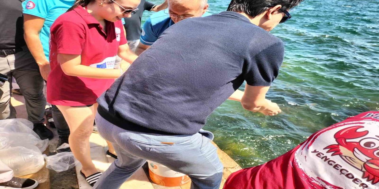 Köyceğiz Gölü’ne yavru balık bırakıldı