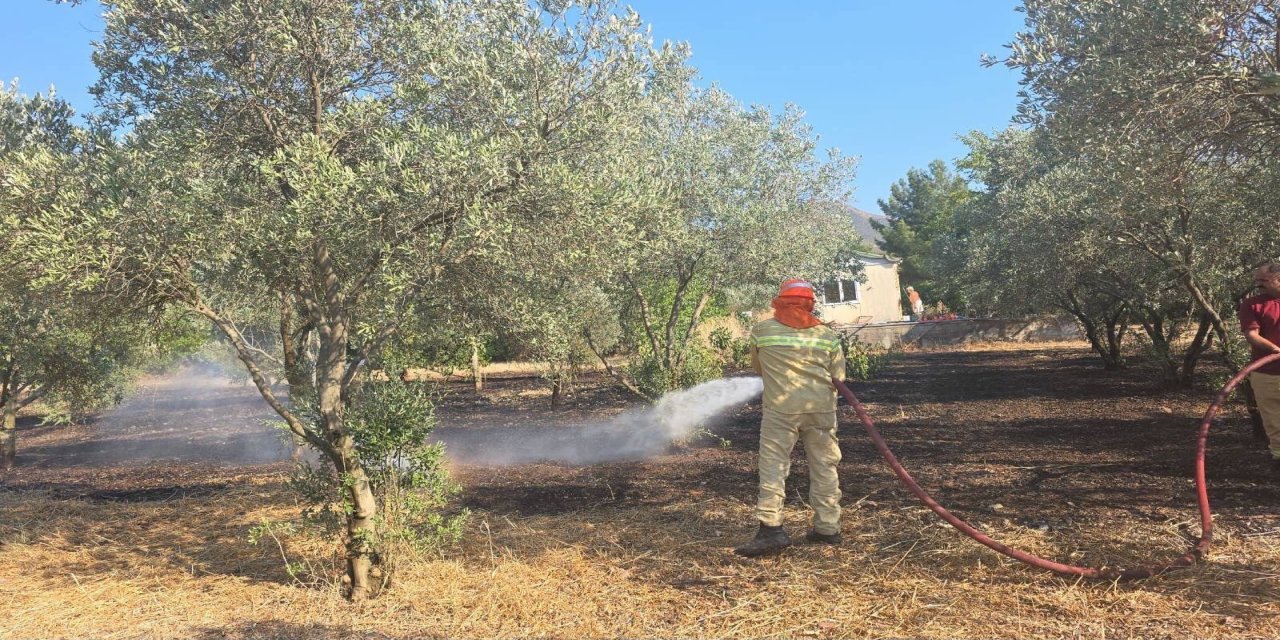 Hisarönü’nde zirai alan yangını büyümeden söndürüldü