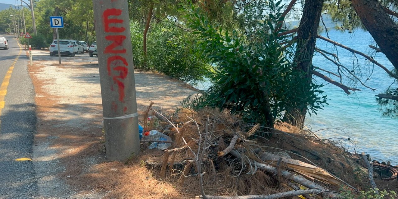 Marmaris’te yol kenarları ve ormanlık alanlardaki çöpler tepki çekiyor