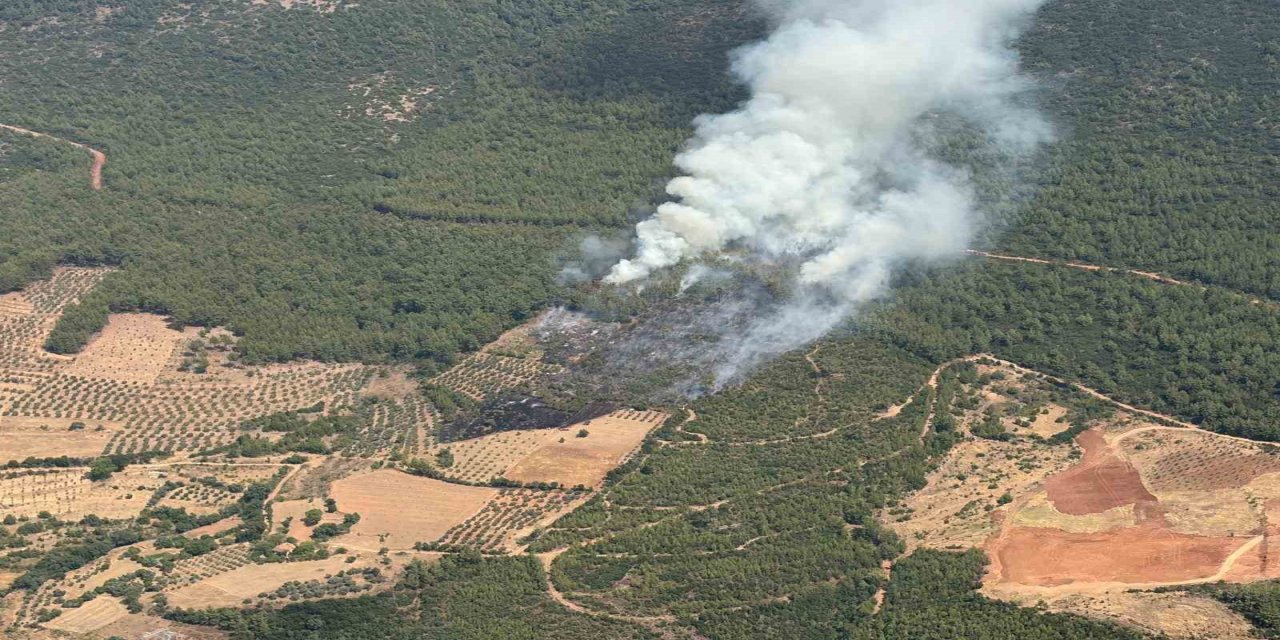 Yatağan’da korkutan zirai yangın kontrol altına alındı