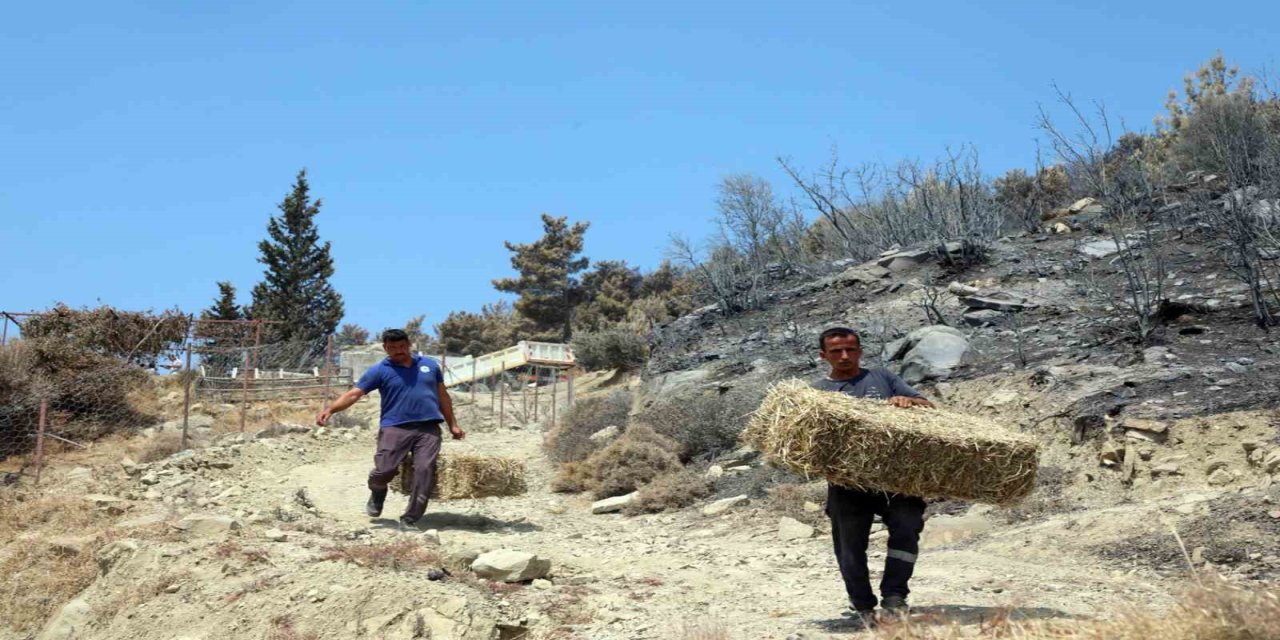 Seydikemer’de yaralar hızla sarılıyor