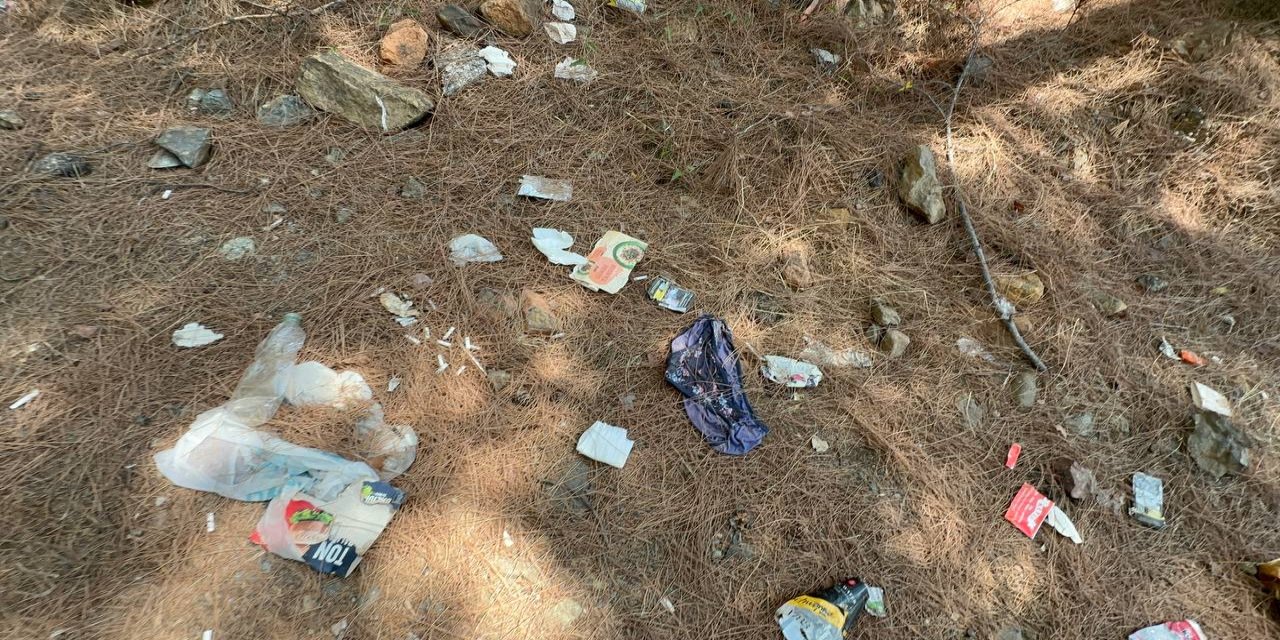 Adaköy ormanlık alanında pes dedirten görüntü