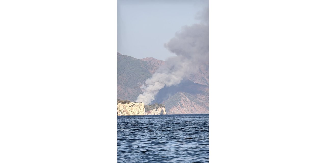 Marmaris’te Kaba Kargı Koyu’nda orman yangını