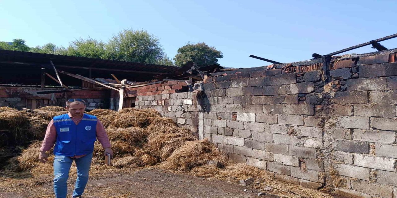Yangında 500 balya samanı yanan üreticiye Büyükşehir’den destek
