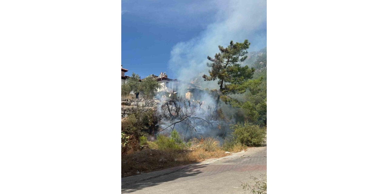 Akyaka’da ot yangını paniğe neden oldu