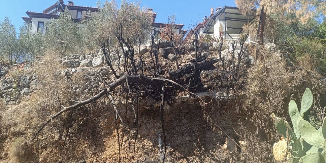 Akyaka’da yanan ağaçtan geriye gövdesi kaldı