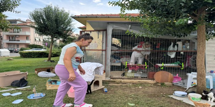Marmaris’in güzel yüreklerinden sokak kedileri için örnek dayanışma