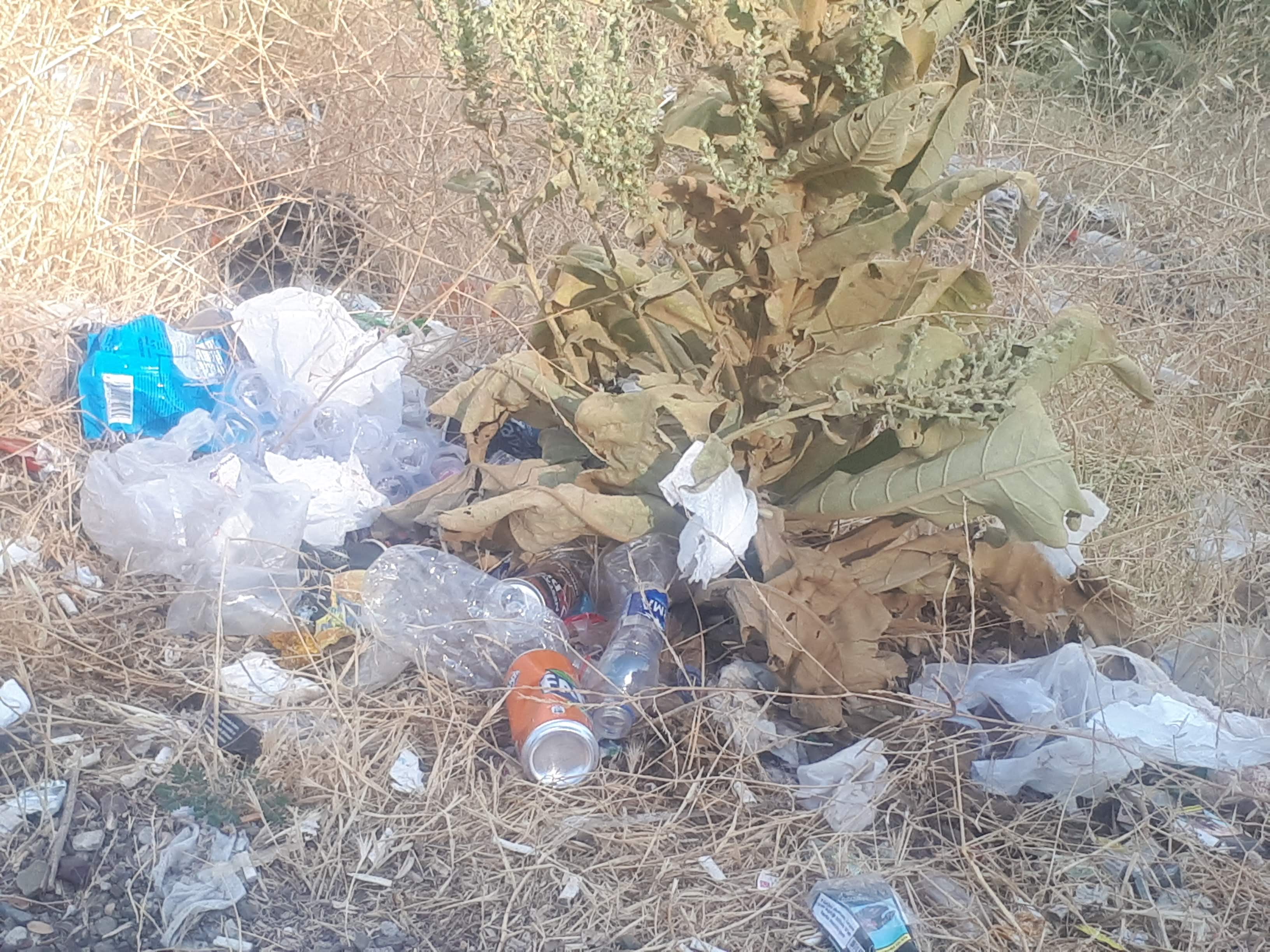 SEYİR TEPELERİNDE ATILAN ÇÖPLER YANGINA DAVETİYE ÇIKARTIYOR