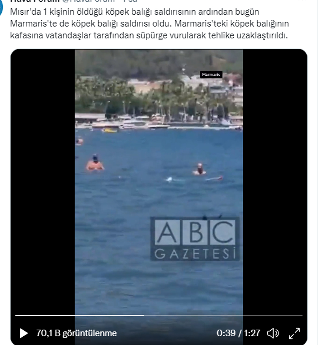 MARMARİS PLAJINDA KILIÇ BALIĞINI KÖPEK BALIĞI ZANNEDENLER PANİKLEDİ