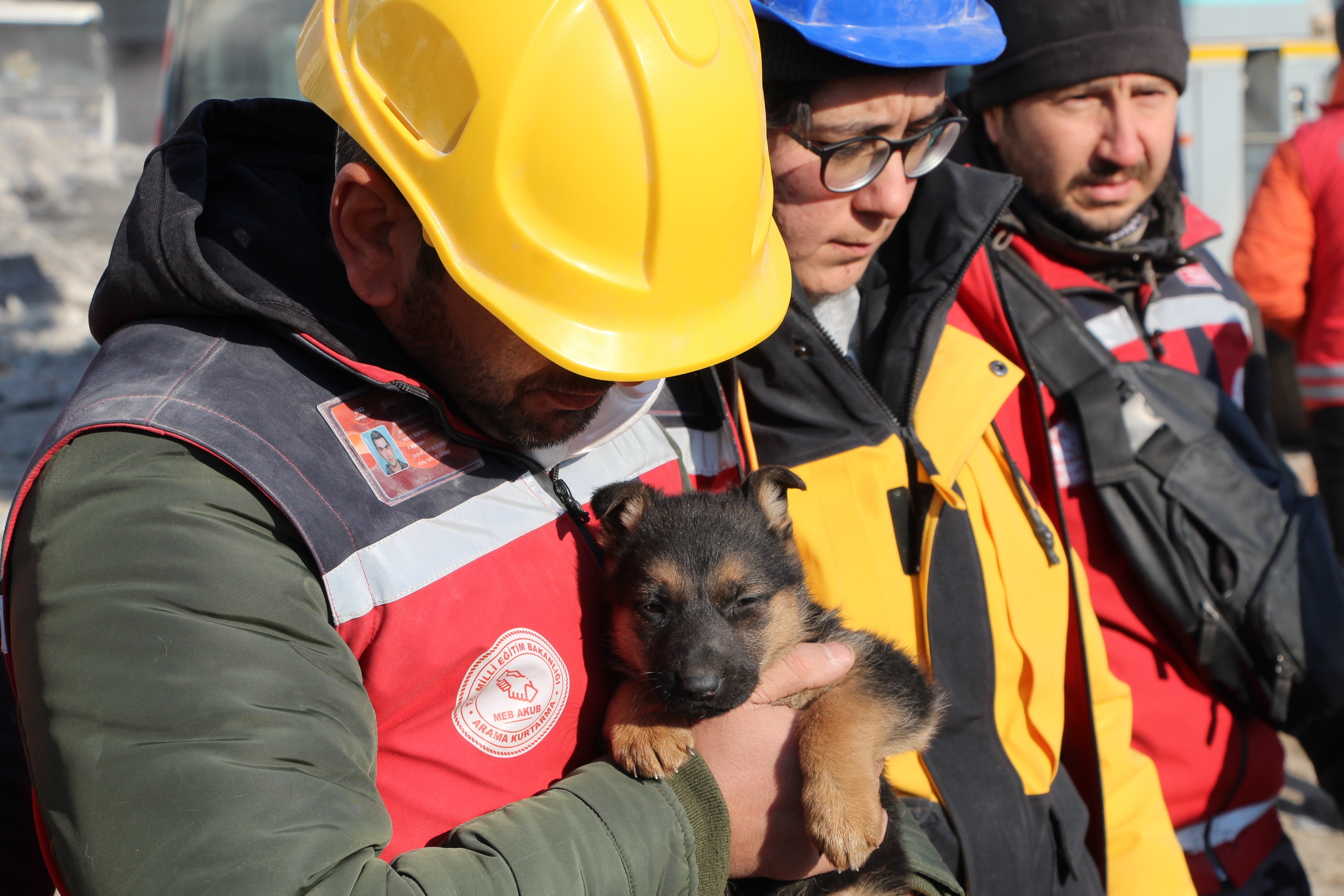 EZAN OKUNUNCA ULUYAN KÖPEKLER GÖÇÜK ALTINDAN KURTARILDI