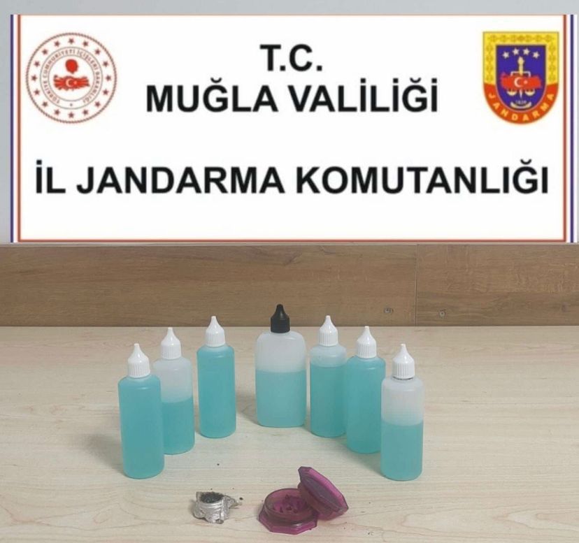 Jandarma Muğla'da 6 ilçede uyuşturucu operasyonu yaptı