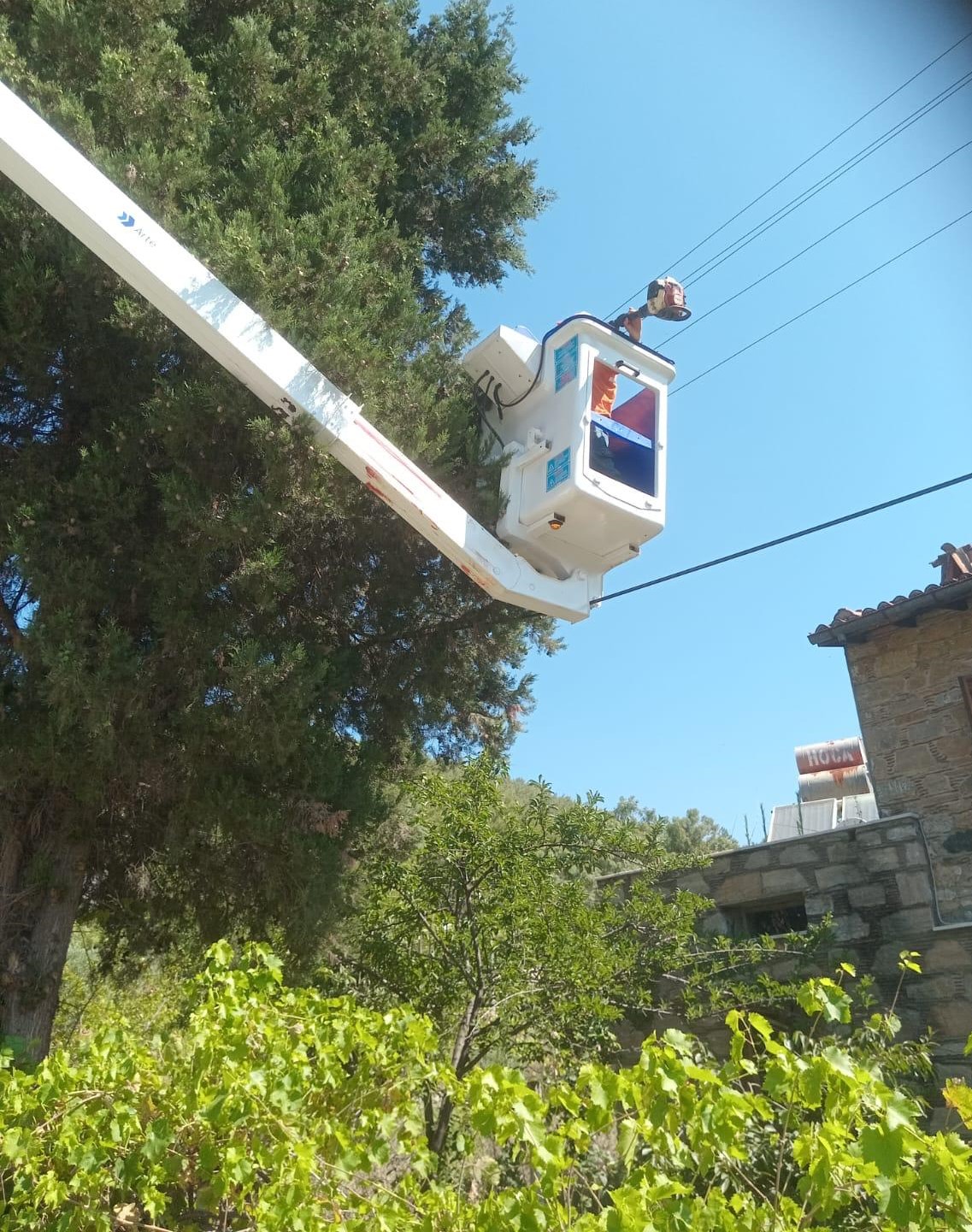 BELEDİYE YANGINA KARŞI ELEKTRİK TELLERİNE ÇARPAN DALLARI BUDUYOR