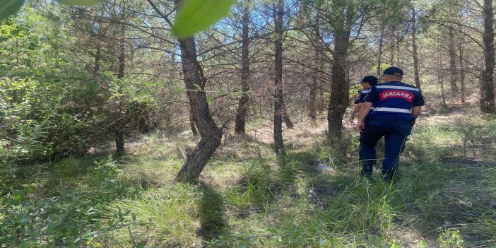 Muğla’da Jandarma Ekipleri Orman Yangınlarına Karşı Devriye Görevi Yapıyor