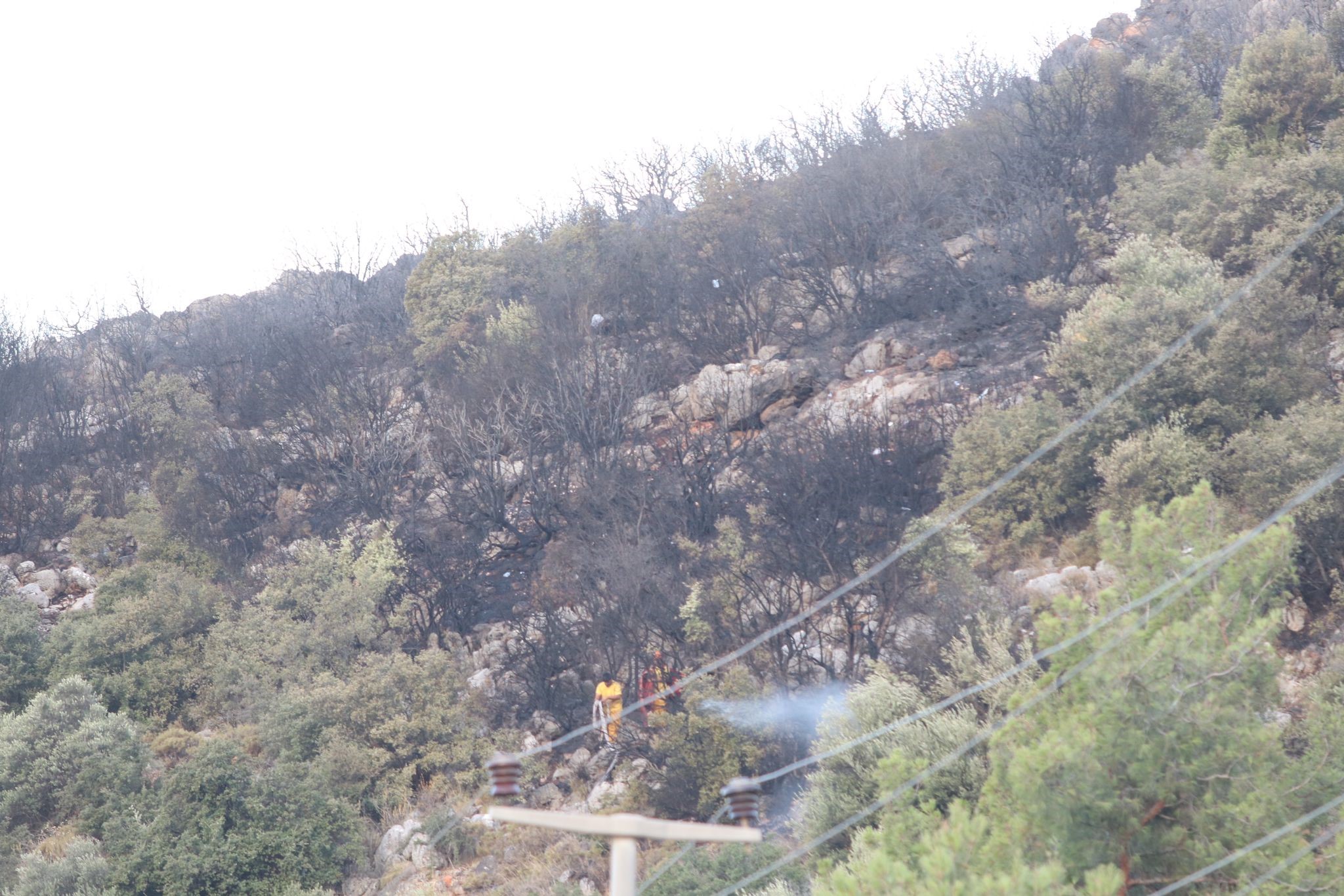 SEYDİKEMER YANGINI KONTROL ALTINDA 1 KİŞİ GÖZALTINA ALINDI
