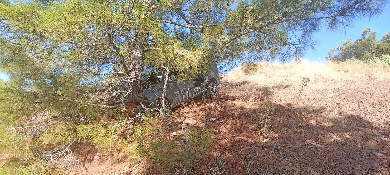 Seyir tepesinde freni boşalan araç ağaca çarparak durabildi