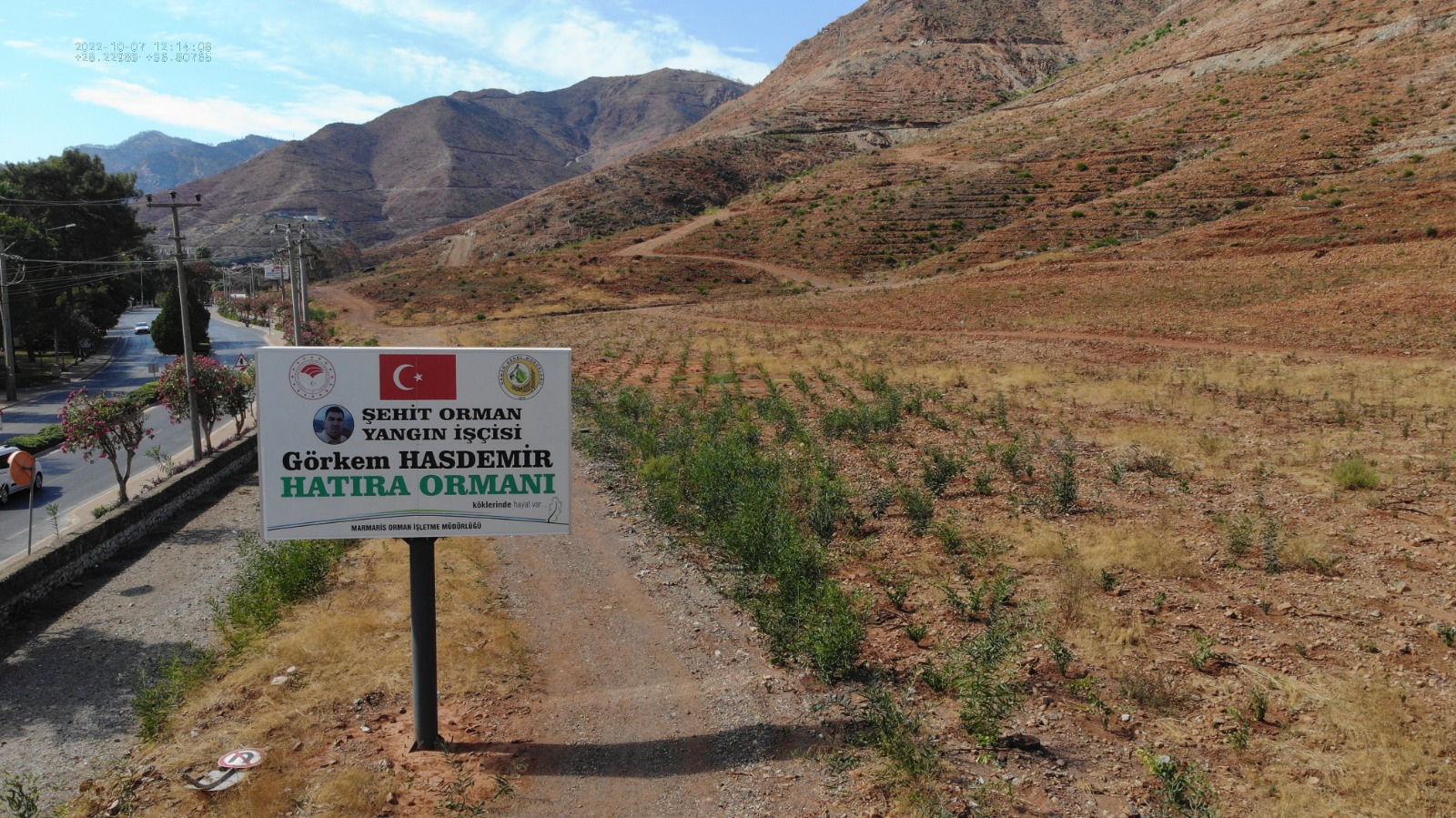 MUĞLA’DA BÜYÜK YANGINLARIN 2. YILINDA YANAN ALANLAR TEKRAR YEŞERİYOR