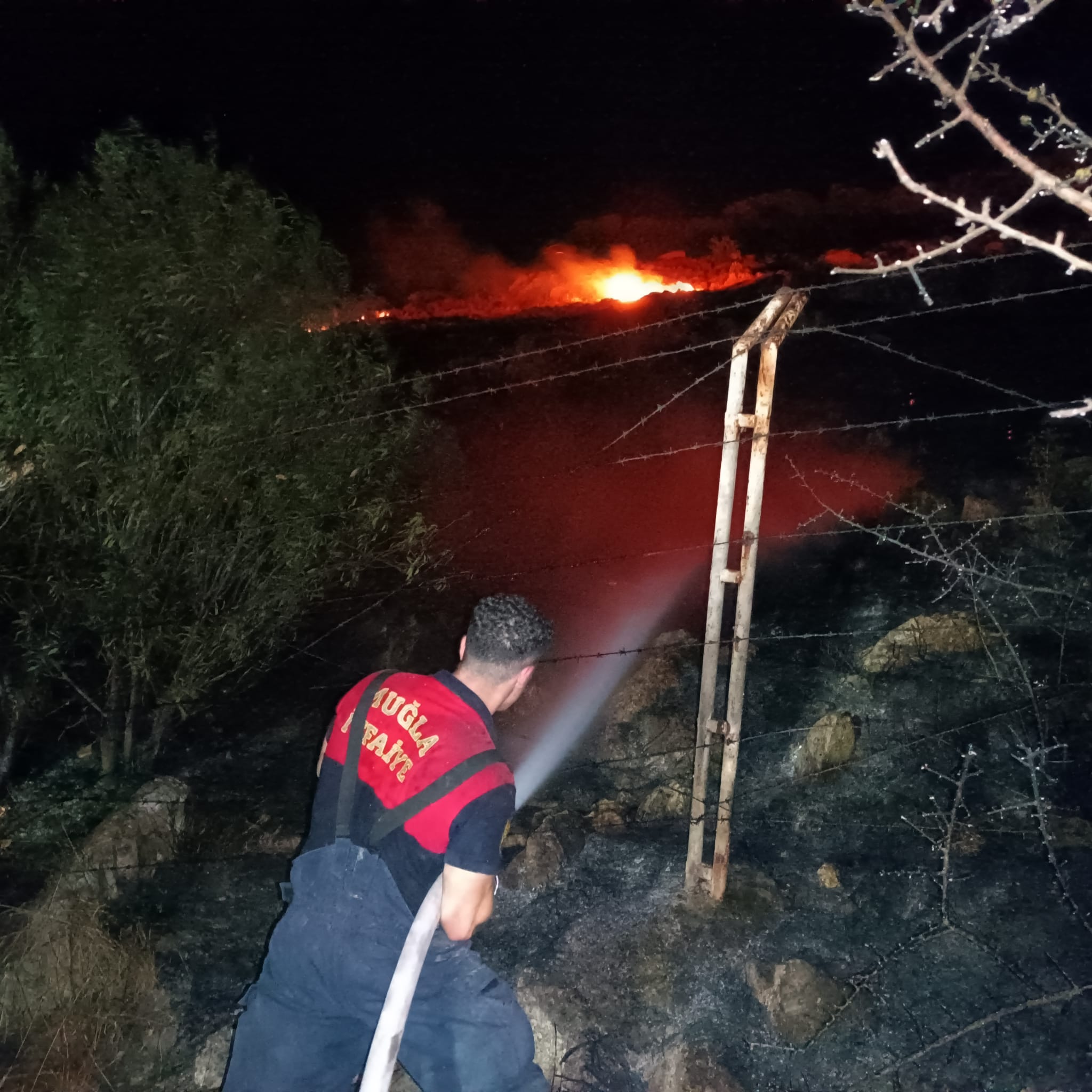 Bodrum'da dün gece yangın 15 dönüm alan zarar gördü