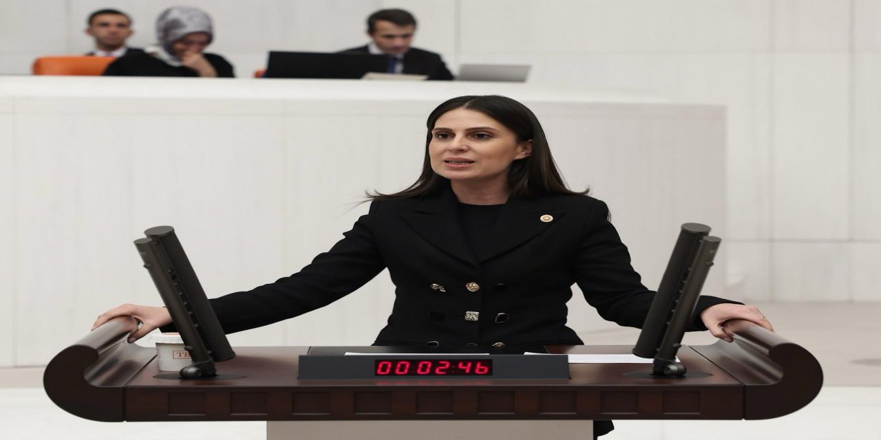 MİLLETVEKİLİ ÖZCAN ' ANAYASAYI RAFA KALDIRANLARIN YENİ ANAYASA YAPMA EHLİYETİ YOKTUR'