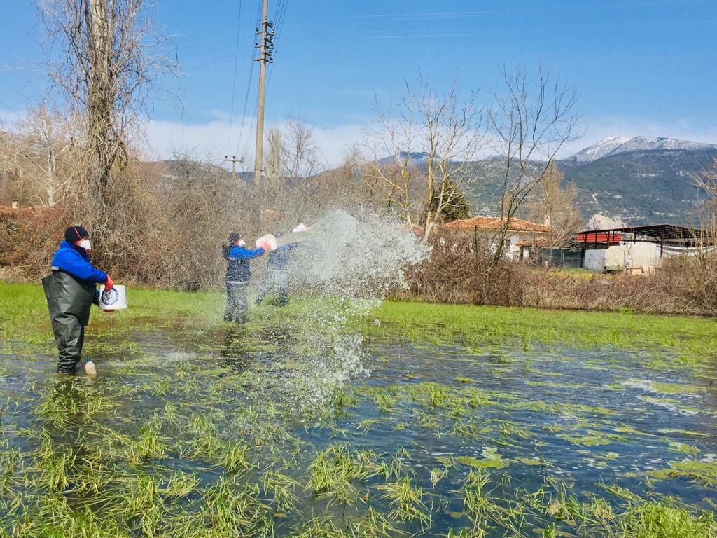 buyuksehirden-karabaglar-yaylasinda-vektorle-mucadelesi-calismasi-3.jpg