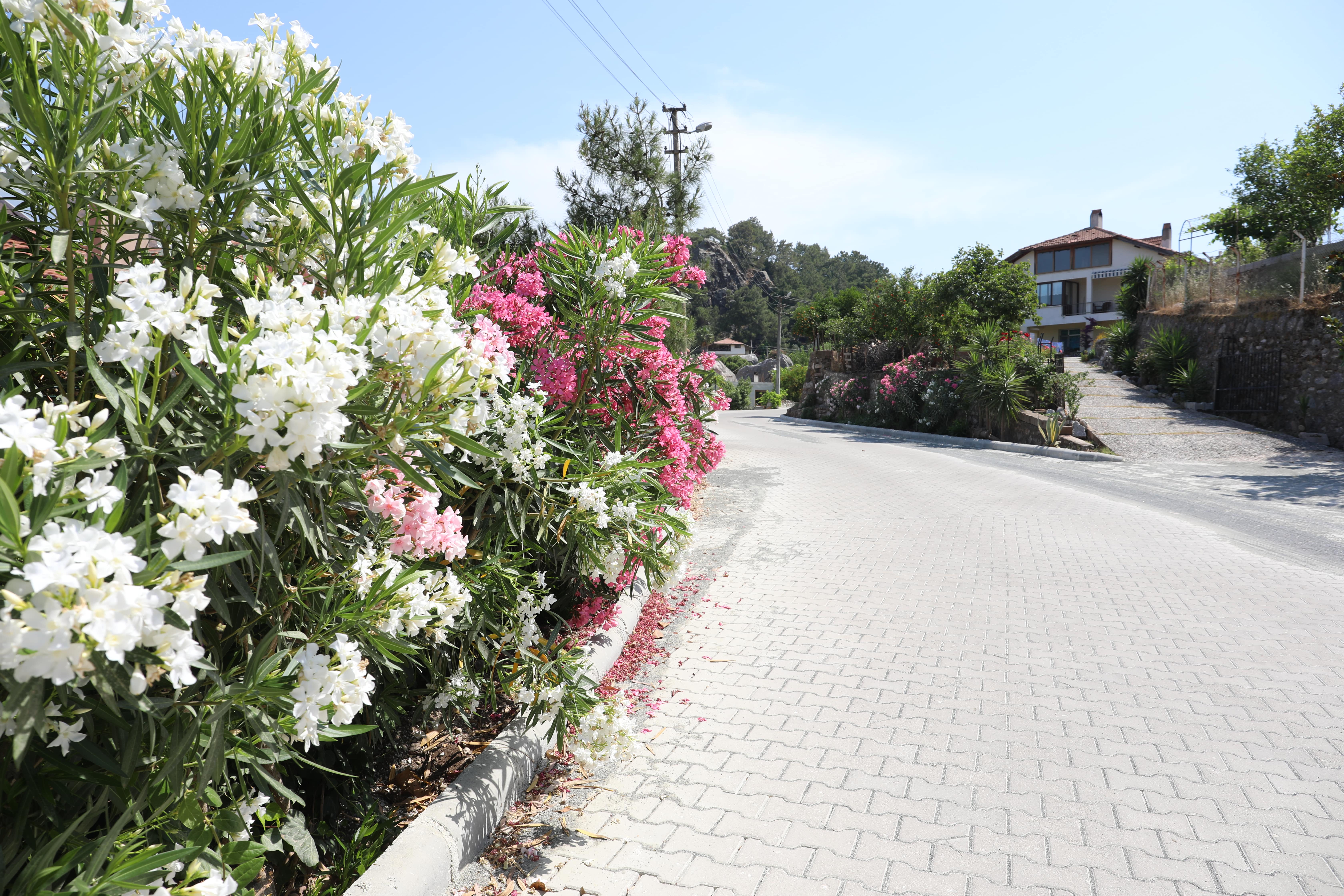 marmaris-belediyesi-fen-isleri-2.jpg