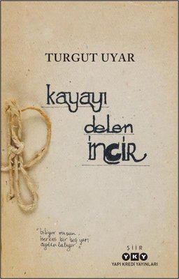 kayayi-delen.jpg