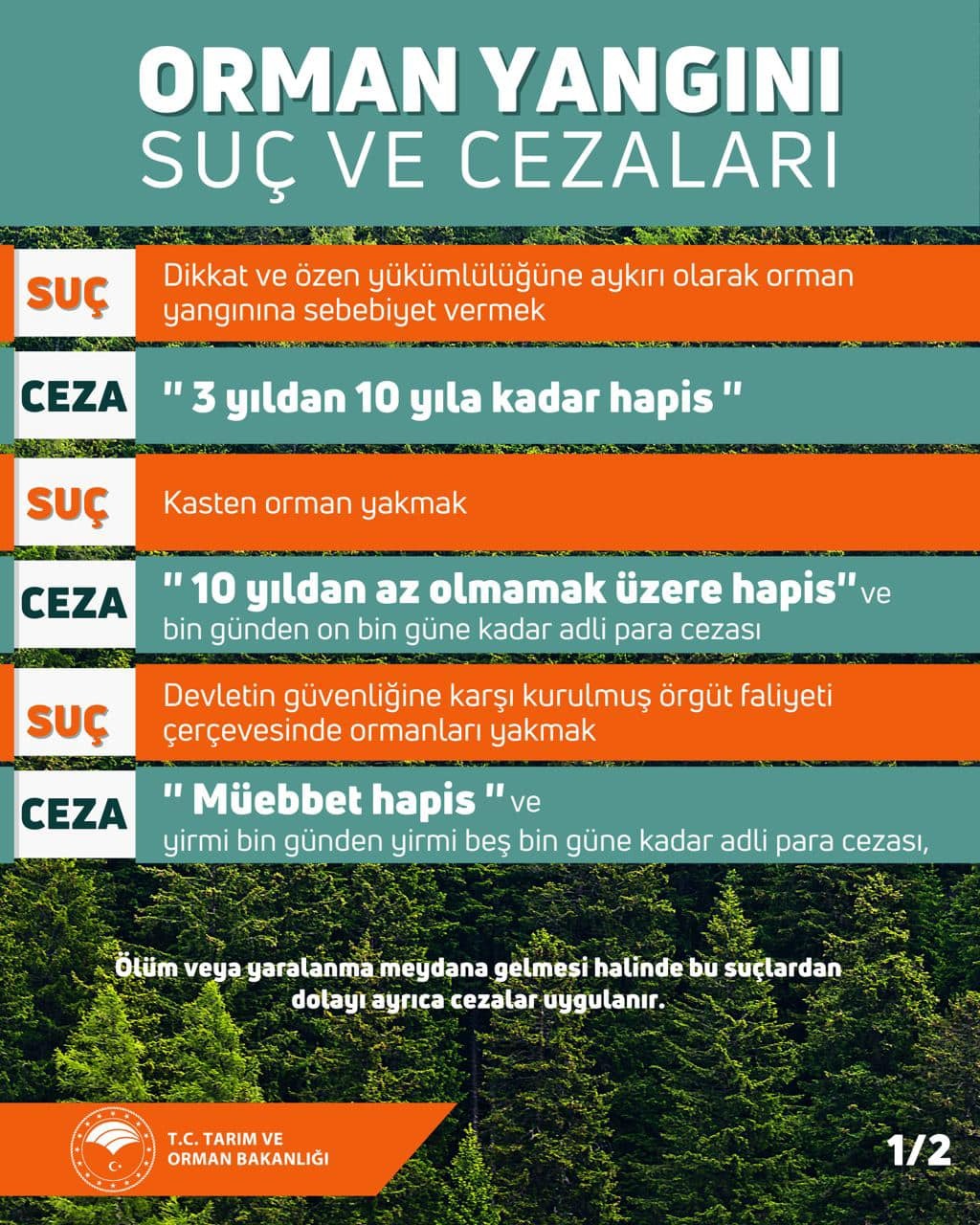 whatsapp-gorsel-2024-08-12-saat-13-46-42-1e990e6f.jpg