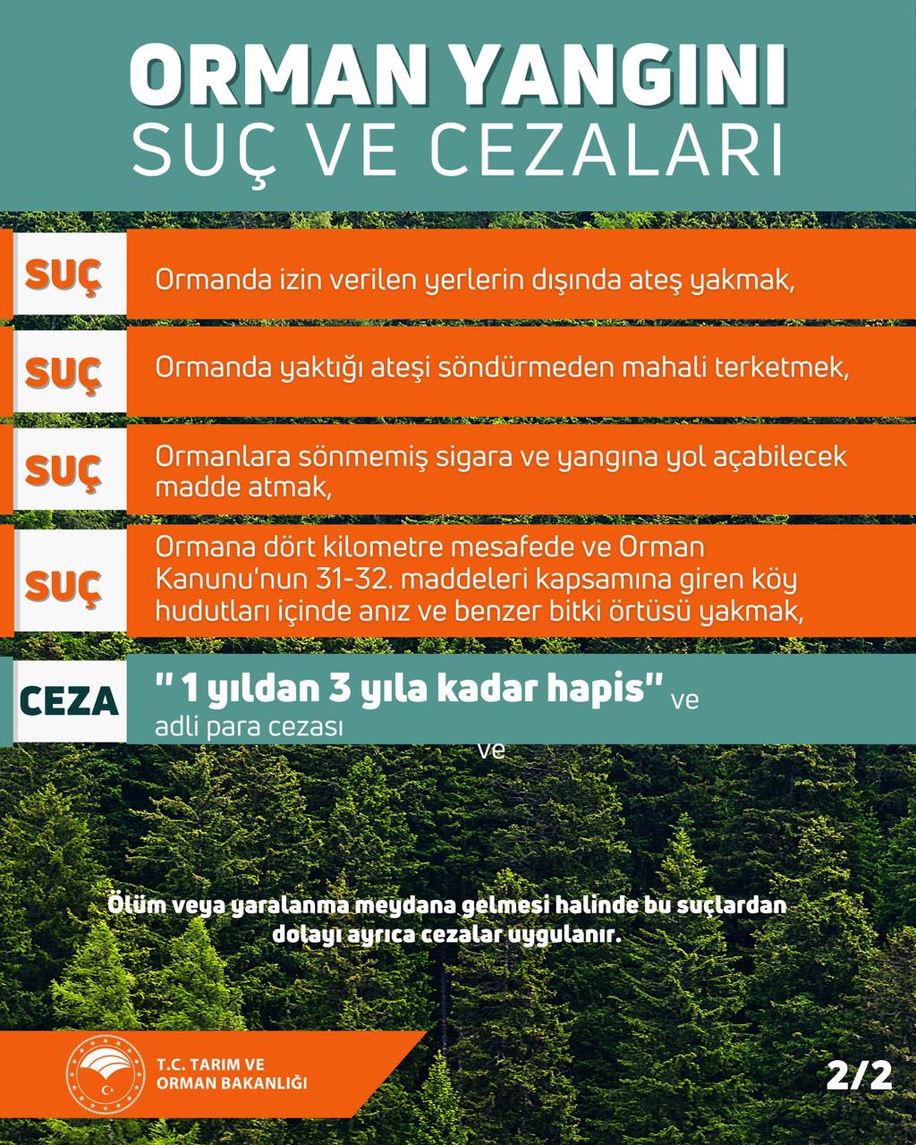 whatsapp-gorsel-2024-08-12-saat-13-46-59-f15f7356.jpg