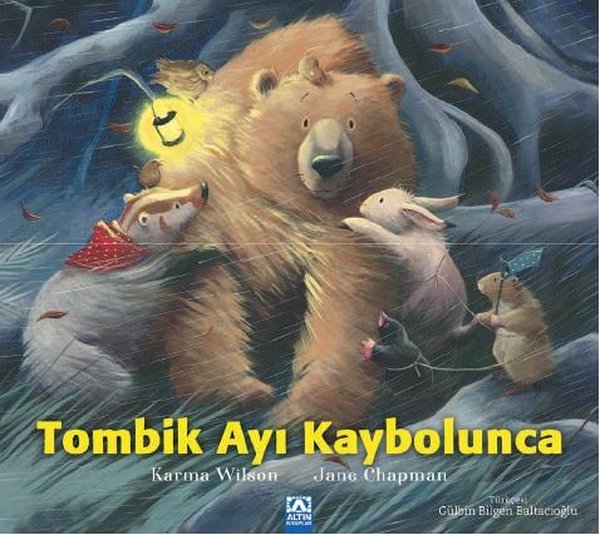 tombi-ayi-kaybolunca-1.jpeg