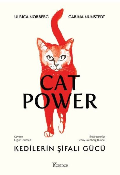 cat-power-kedilerin-001.jpg