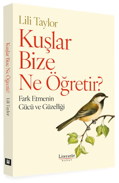 kuslar-bize-ne-ogretir.jpg