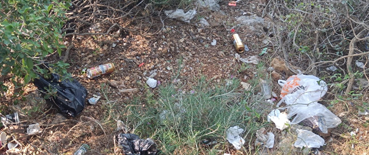 img-1731.jpeg