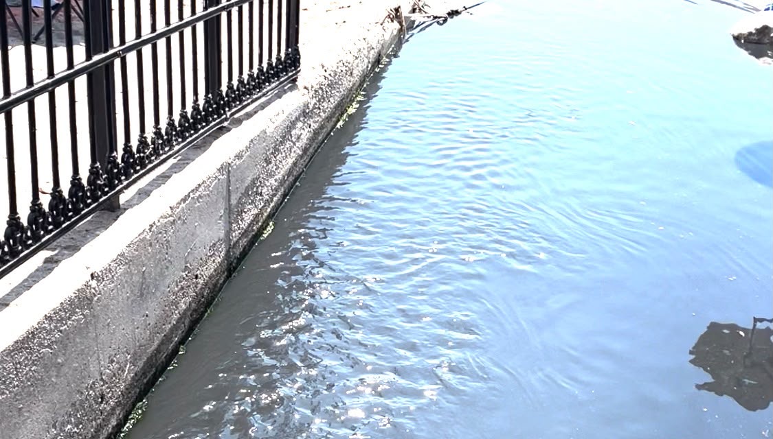 3a1cec8f-4206-4a56-a2d7-52a2ebab7e64.jpeg